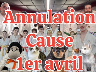 Image de l'actu 'Animaujudo – le nouveau cours du samedi matin !'