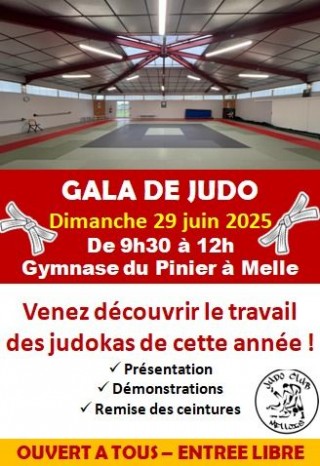 Image de l'actu 'GALA DE JUDO – 29 JUIN À MELLE'
