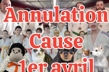 Animaujudo – le nouveau cours du samedi matin !