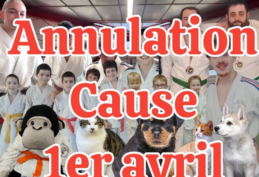 Animaujudo – le nouveau cours du samedi matin !